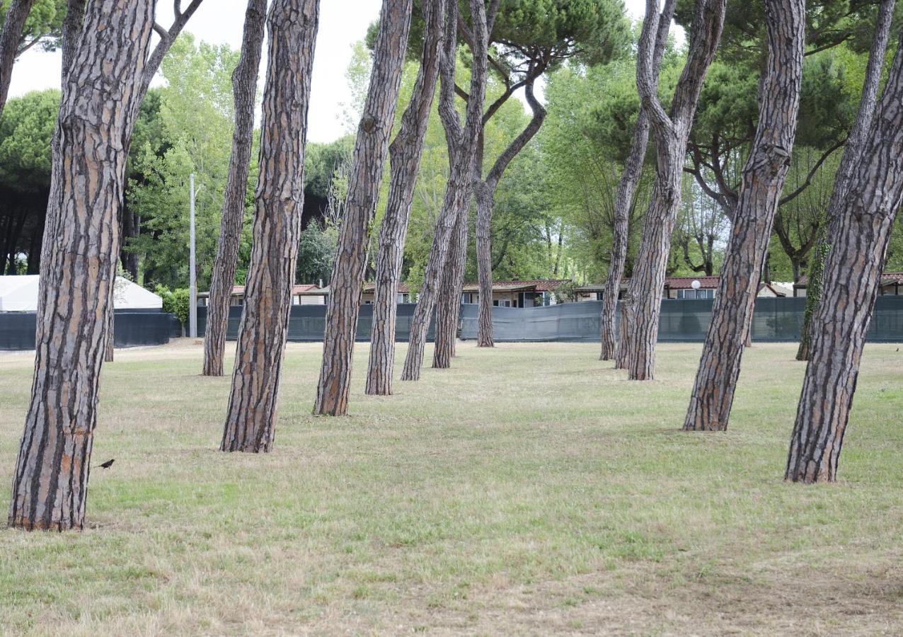Casa Per Ferie Il Pioppo Otel Marina di Massa Dış mekan fotoğraf