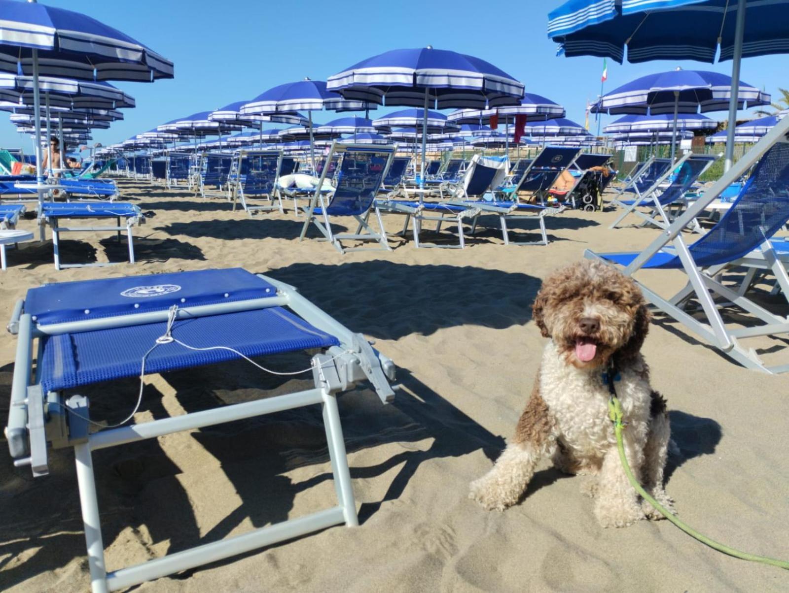 Casa Per Ferie Il Pioppo Otel Marina di Massa Dış mekan fotoğraf